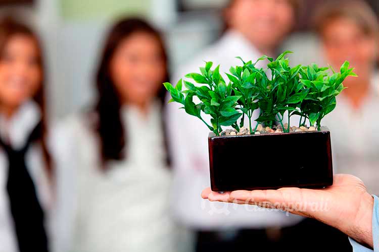Curso de Gestión de calidad y medio ambiente (Programa Superior)